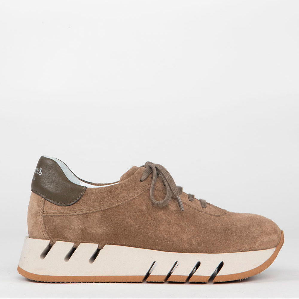 Homers Sneaker Lotus