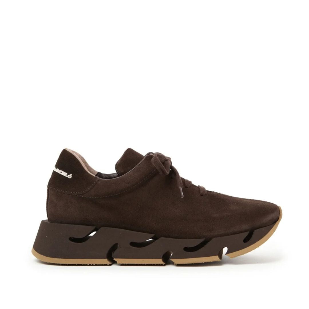 Paloma Barceló Pia Brown sneaker